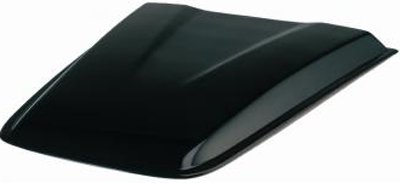Lund Hood Scoop