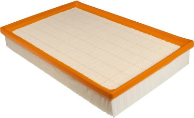 Mahle Air Filter