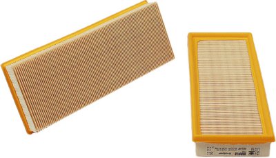 Mahle Air Filter