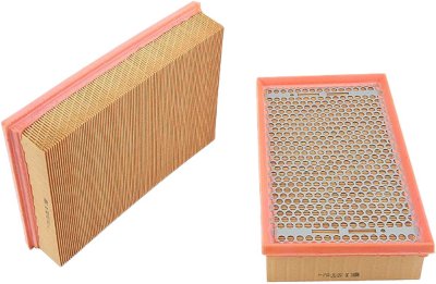 Mahle Air Filter