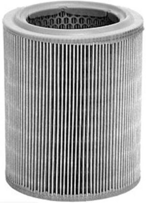 Mahle Air Filter
