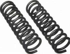Moog Coil Springs
