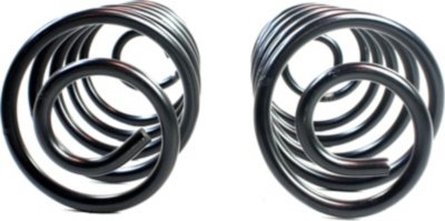 Moog Coil Springs