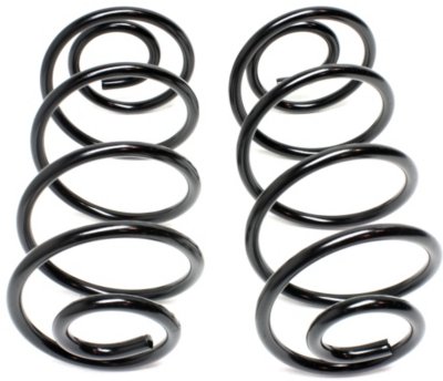 Moog Coil Springs