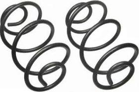 Moog Coil Springs