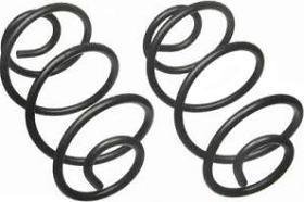 Moog Coil Springs
