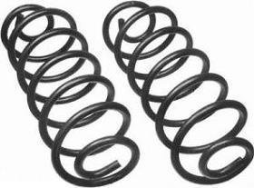Moog Coil Springs