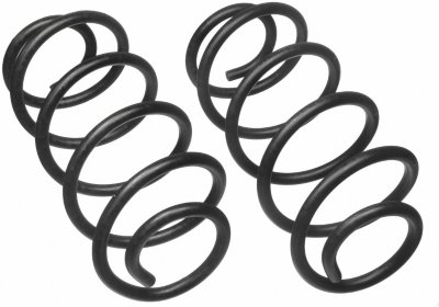 Moog Coil Springs
