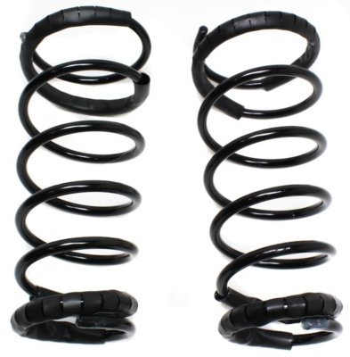 Moog Coil Springs