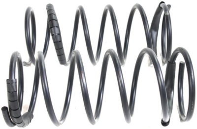 Moog Coil Springs