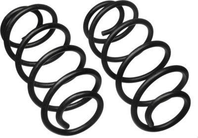 Moog Coil Springs