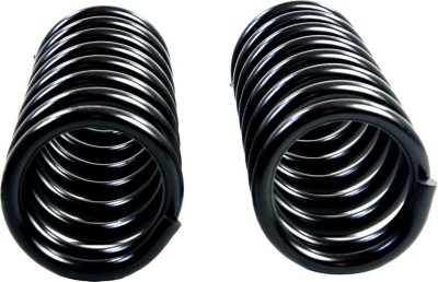 Moog Coil Springs