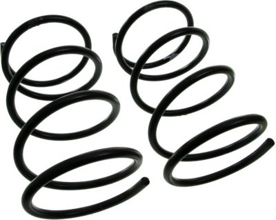 Moog Coil Springs