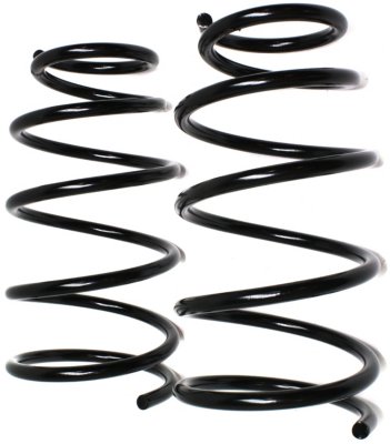 Moog Coil Springs