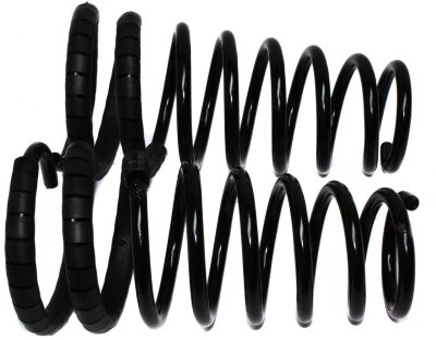 Moog Coil Springs