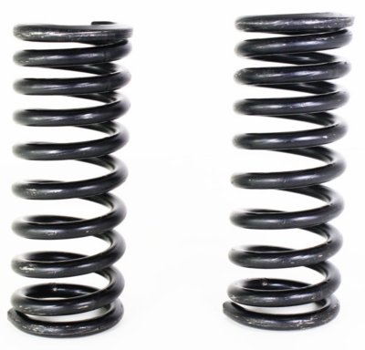 Moog Coil Springs