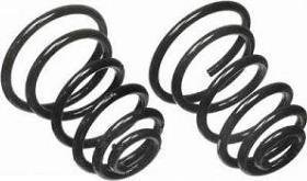 Moog Coil Springs