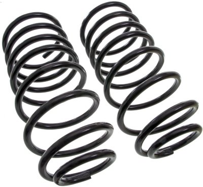 Moog Coil Springs