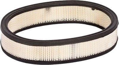Motorcraft Air Filter