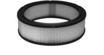 Motorcraft Air Filter