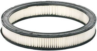 Motorcraft Air Filter