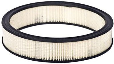 Motorcraft Air Filter