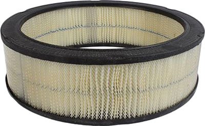 Motorcraft Air Filter