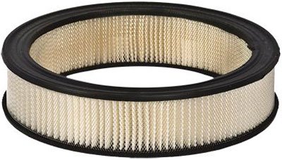 Motorcraft Air Filter