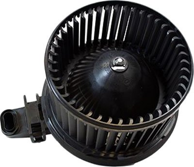 Motorcraft Blower Motor