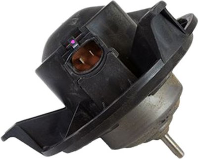 Motorcraft Blower Motor