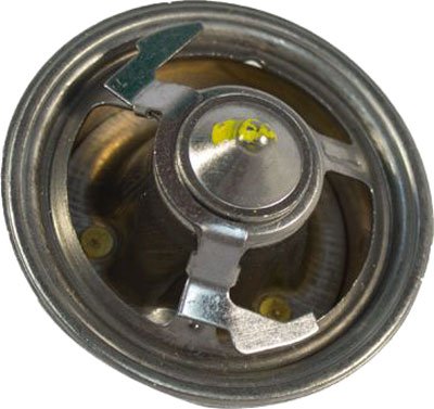 Motorcraft Thermostat