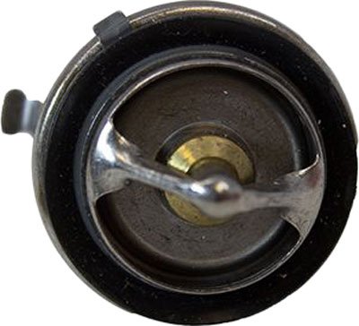Motorcraft Thermostat