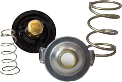 Motorcraft Thermostat