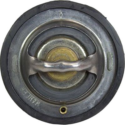 Motorcraft Thermostat