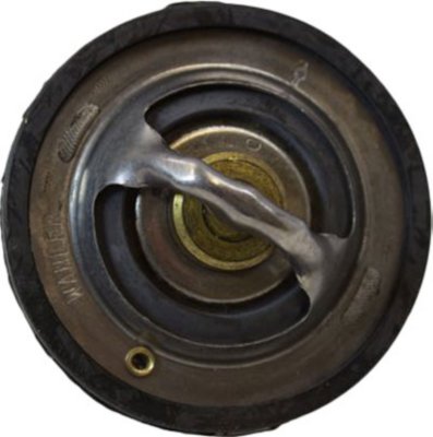 Motorcraft Thermostat