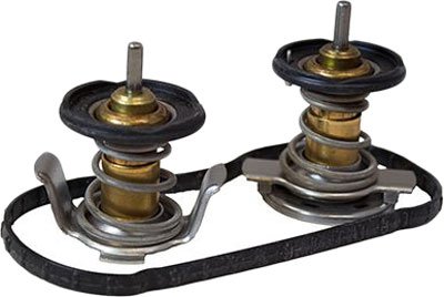 Motorcraft Thermostat