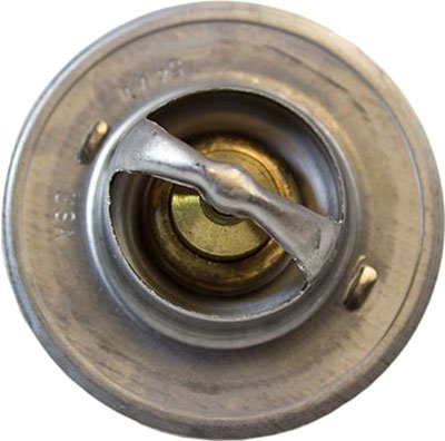 Motorcraft Thermostat