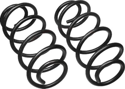 Moog Coil Springs