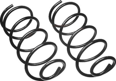 Moog Coil Springs