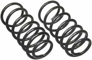 Moog Coil Springs