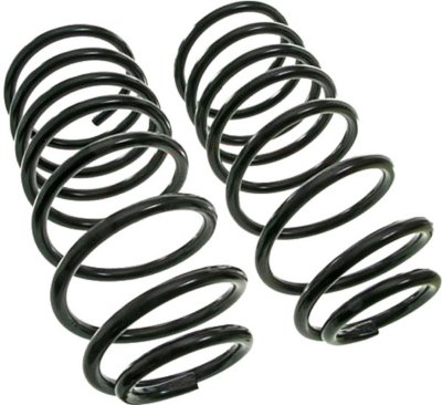 Moog Coil Springs
