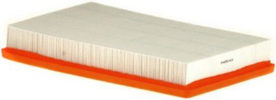 Premium Guard Filters Air Filter