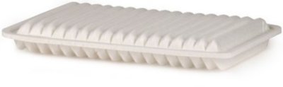 Premium Guard Filters Air Filter