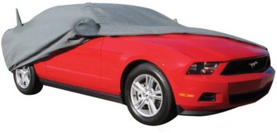 Rampage Car Cover