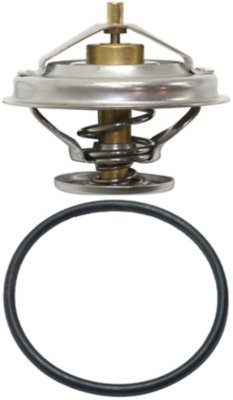 Replacement Thermostat