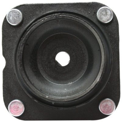 Replacement Shock and Strut Mount