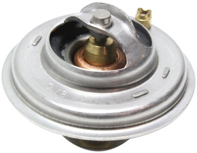 Replacement Thermostat