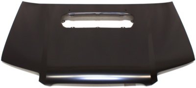 Replacement Hood