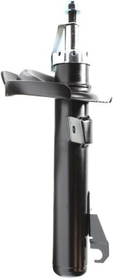 Replacement Shock Absorber and Strut Assembly