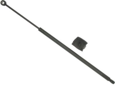 Sachs Lift Support